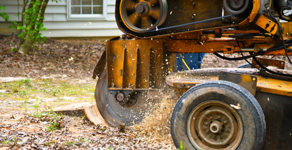 Stump Grinding & Removal (1)